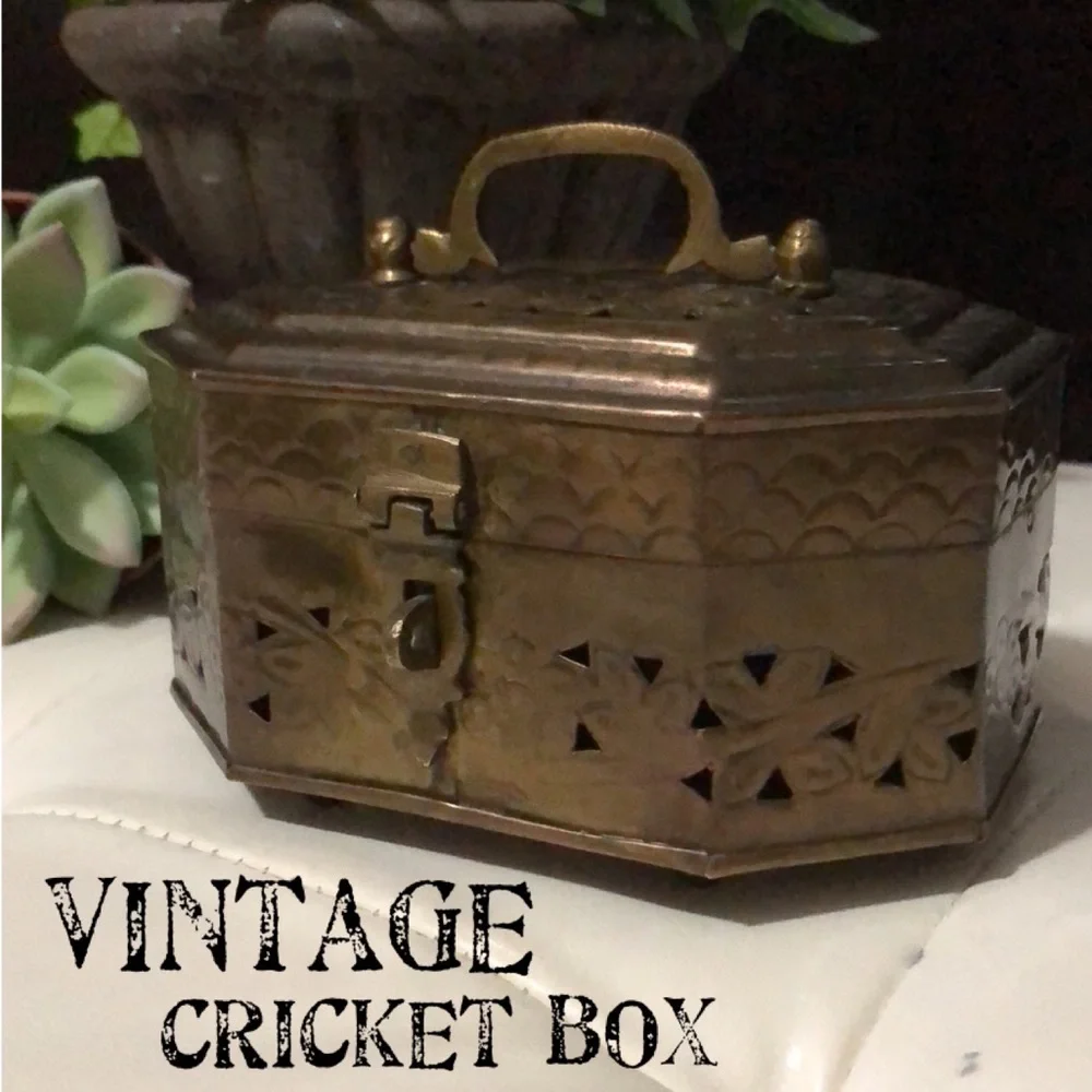 Vintage Brass Cricket Box-5x3.5x3